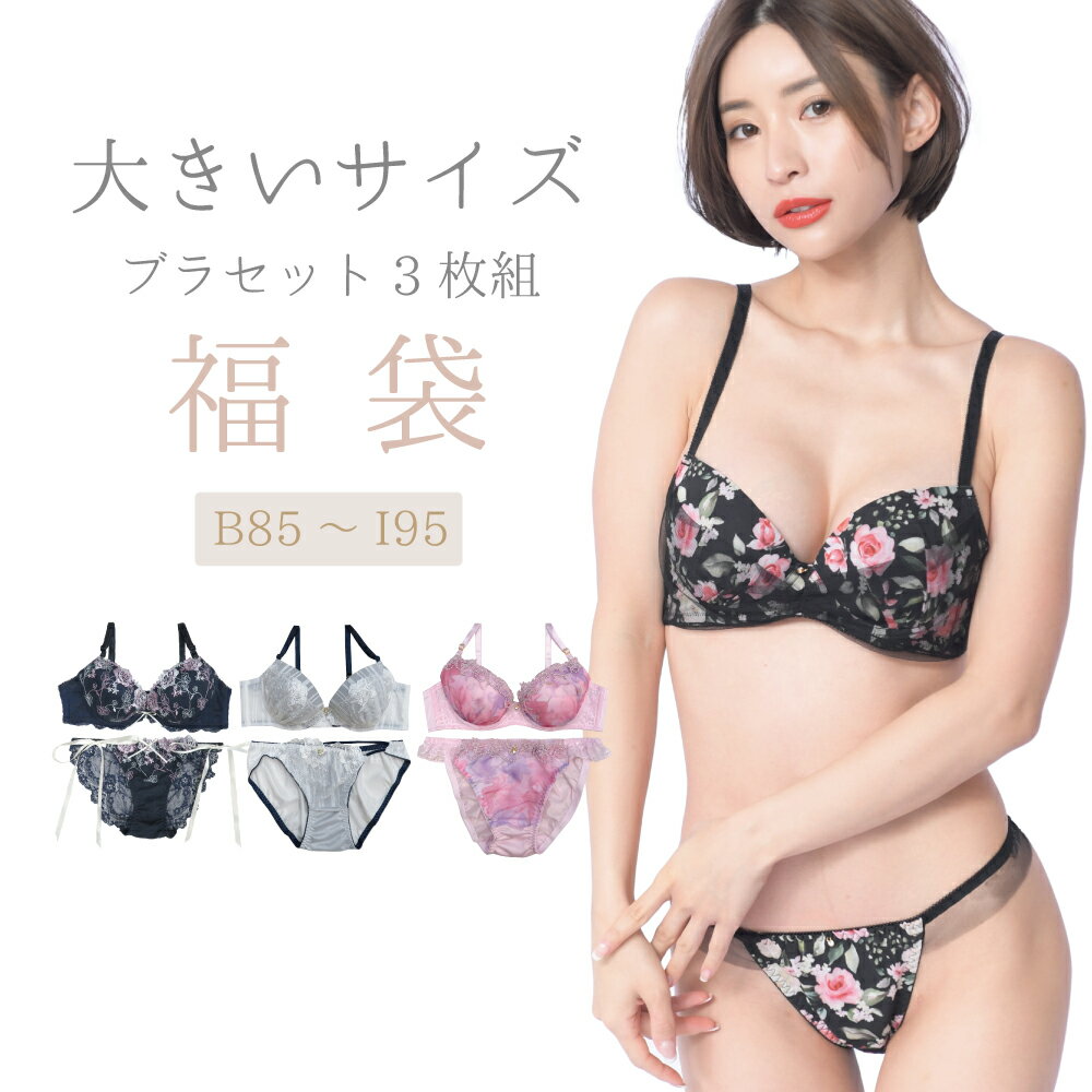 [SALE価格]B85 ～ I95まで 【送料無料※沖縄は追加送料】福袋 大きいサイズ ブラジャー ＆ ショーツ セット 3組入り 下着 福袋 レディース 2024 [メール便不可][メール便不可]【ブラセット ブラ&ショーツ ブラジャー ブラ福袋 下着 福袋】