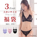 B85 〜 I95まで 【送料無料※沖縄は追加送料】福袋 大きいサイズ ブラジャー & ショーツ セット 3組入り 下着 福袋 レディース 2025 [メール便...