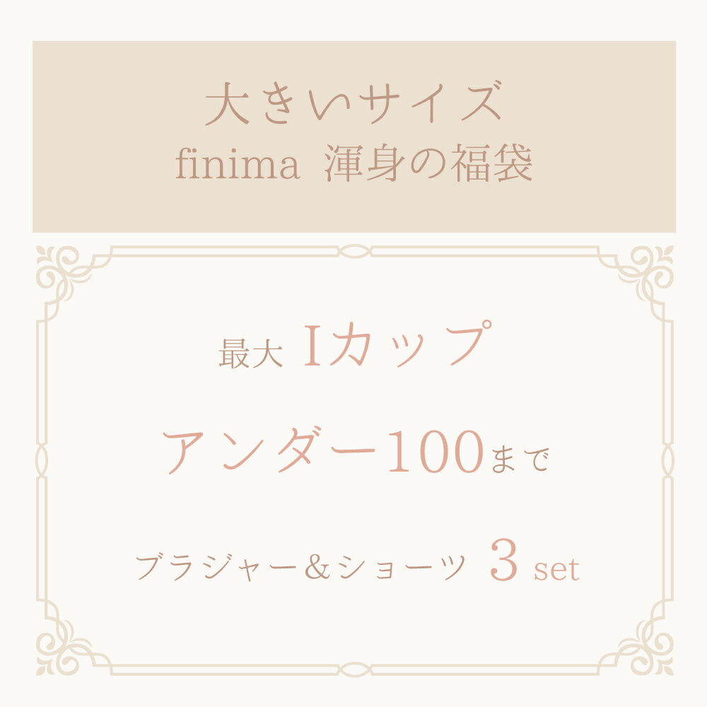 [楽天スーパーSALE価格]B85 〜 I95まで 【送料無料※沖縄は追加送料】大きいサイズ ブラ福袋 フェミニン 刺繍ブラ 3セット 下着福袋 2022 ブラ＆ショーツ 3組入り 福袋[メール便不可]【大きいサイズ ブラセット ブラ&ショーツ ブラジャー ブラ福袋 下着 レディース】