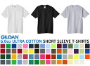 S-XL【カラー4】GILDAN(ギルダン)6.0oz 無地 Tシャツ【アダルトサイズ】ウルトラコットン ティーシャツ 綿 無地 半袖 メンズ US(アメリカ）仕様（gildan-T2000）【0425】