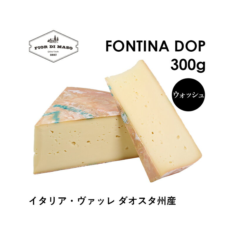 フォンティーナ DOP 約300g | Fontina DOP