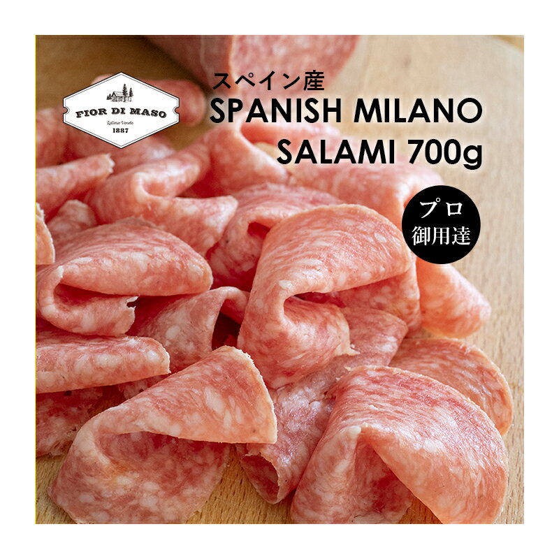 サラミ スペイン産 ミラノ サラミ ブロック 約700g | Spanish Salame Milano Block