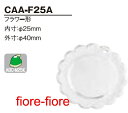 np` @t[^ CAA-F25A@25~ G2@ (1`99j