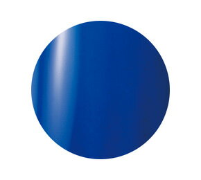 ★Presto(プレスト) カラージェル 4g＃58　テンペストーソ