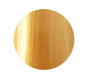 ★Presto(プレスト) カラージェル 4g＃70　ジェンティーレ