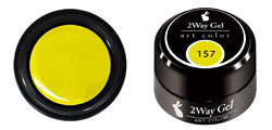 ★【ネコポス可】PREGEL（プリジェル） 2WAYジェル 3gアートカラー　157