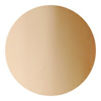 ★AKZENTZ(アクセンツ) UV／LED　アイスカラーズ　4gUL　040　ベア