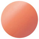 ★VETRO(ベトロ) カラージェル 4ml VL182 スライムコーラル