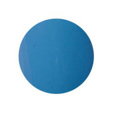 ★Putiel（プティール） カラージェル　2g112　ロイヤルブルー