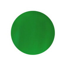 ★Putiel（プティール） カラージェル 2g144 ネオングリーン