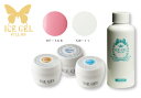 ★ICE GEL(アイスジェル) ジェル検定キット 中級