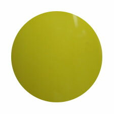 ★Gelgraph（ジェルグラフ）　カラージェル　5gミドリリッキー