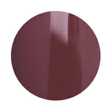 ★【ネコポス可】PREGEL（プリジェル） カラーEX 3gマルサラの大地 neo　PG−CE824