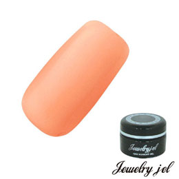 ★Jewelry jel(ジュエリージェル) カラージェル 3.5gNP101