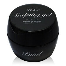 ★Putiel（プティール） スカルプティングジェル　8g