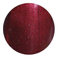 ★ARTGENiC(アートジェニック) カラージェル　4gエンヴィレッド 244