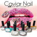 ＼スーパーSALE限定／【即納】キャビアネイルDENESY Caviar Nail （3点セット）NEWリニューアル［マニキュア　ネイルカラー　ネイルポリッシュ SHANTI　Caviar Manicure kit］