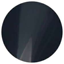 ★AKZENTZ(アクセンツ) UV／LED　オプションズ　4gUL105　ロイヤルオニキス