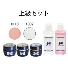 ★LEAFGEL PREMIUM(リーフジェル プレミアム) ジェル検定キット 上級セット