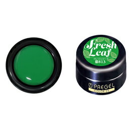 ★【ネコポス可】PREGEL(プリジェル) カラーEX 3gフレッシュリーフ PG-CE813 ★【ネコポス可】PREGEL(プリジェル) カラーEX 3gフレッシュリーフ PG-CE813