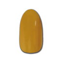 ★T-GEL Collection ベラフォーマ カラージェル 4ml D174 スケルトンマスタード