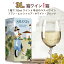 【送料無料】【3L箱ワイン】【1箱】ワイン 白ワイン《フアン・ヒル シャニア・ホワイト・ブレンド ワイン バッグ・イン・ボックス 2022年》スペイン フミーリャ マルヴァジア ギフト お祝い おすすめ パーティー 定番 フィラディス