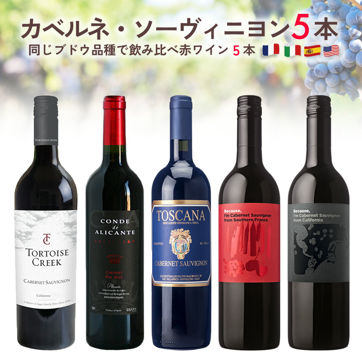 楽天Firadis WINE CLUB 楽天市場店【送料無料】ワイン セット【お得ワイン】赤ワイン 5本 入り「同じブドウ品種 カベルネ・ソーヴィニヨン」ソムリエ厳選 セット フランス イタリア スペイン アメリカ まとめ買い ギフト お祝い おすすめ パーティー 定番 フィラディス