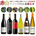 楽天Firadis WINE CLUB 楽天市場店【送料無料】ワイン セット【お得ワイン】赤ワイン 3本 白ワイン 3本「代表的なブドウ品種6つの個性が明確にわかる 6本」紅白 赤 白 飲み比べ ソムリエ厳選 スペイン まとめ買い ギフト お祝い おすすめ パーティー 定番 フィラディス