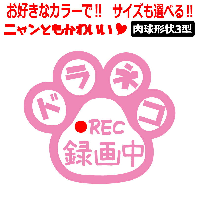 肉球 ドラネコ 録画中 ステッカー かわいい REC ドライブレコーダー 肉球3型 車 クルマ バイク 自転車 ドラレコ 煽り あおり運転防止