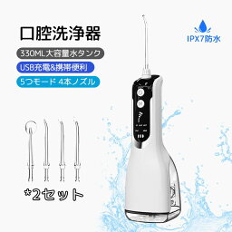 口腔洗浄器 ジェットウォッシャー ウォーターフロス 携帯用 口腔洗浄機 5つモード 防水 歯間ジェット 歯周ポケット 洗浄 歯垢除去 USB充電式 口腔洗浄器 歯ブラシ IPX7防水 音波歯ブラシ 水流歯ブラシ 水圧歯間 歯間ジェットウォッシャー 矯