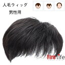 ウィッグ 男性用 かつら 人毛ウィッグ 中年 自然黒 ブラック 日常用 かつら 人毛かつら メンズヘア ショート お父さん プレゼント
