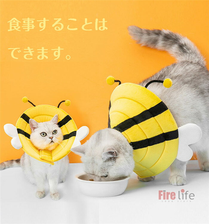 ���ꥶ�٥����顼 ���եȥ��ꥶ�٥����顼 ���ä��� �ݸ� ��� ���� ���� �µ� ���Ӥ� ­�Ӥ� �ɻ� ���� �Ѹ� �İ��� ��ε �ͻ� ˪