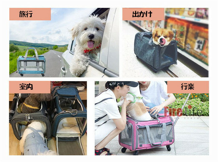 ����꡼�Хå� ���㥹�����դ� �ڥå��� ǭ �� ���� ι�� �᥷�� �̵��� ưʪ�±��䤪�гݤ� ���� ���ä����Ǻ� ��곰����