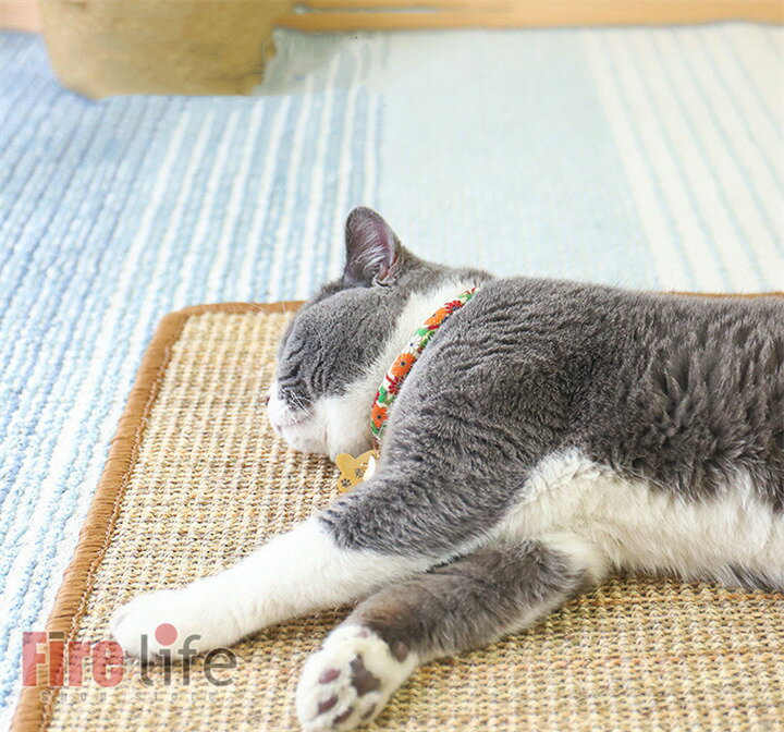 ǭ�ޤȤ��ޥå� ǭ�ޤȤ� ���ե����ޥå� �� �޸����ޥå� �Ĥ�Ȥ������� ���ե������С� �������� ��ޥå� ���ȥ쥹��� ��ư��­���� ���å��ɻ� �����ɻ� ���ȥ쥹��� �ѵ��� ���ե������ɻ� �ȶ��ݸ� ������� ǭ���� ����å��� ����̵��