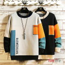 ニットセーセー メンズ 長袖 トップス 丸ネック 秋冬 メンズセーター M~7XL(4)