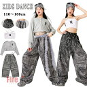 キッズダンス衣装 ガールズ ステージ衣装 ヒップホップ セットアップ コスチューム キャミソール 灰長袖トップス へそ出し タイダイ柄 パンツ キラキラ ヒップ...