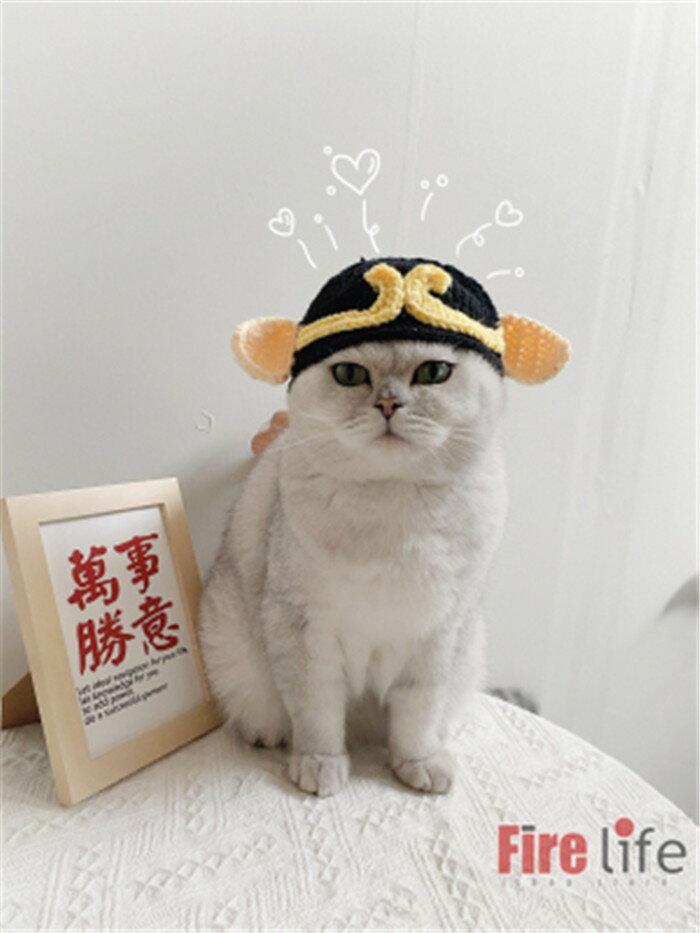 猫用 帽子 猪八戒 ちょはっかい ペットカバー...の紹介画像3