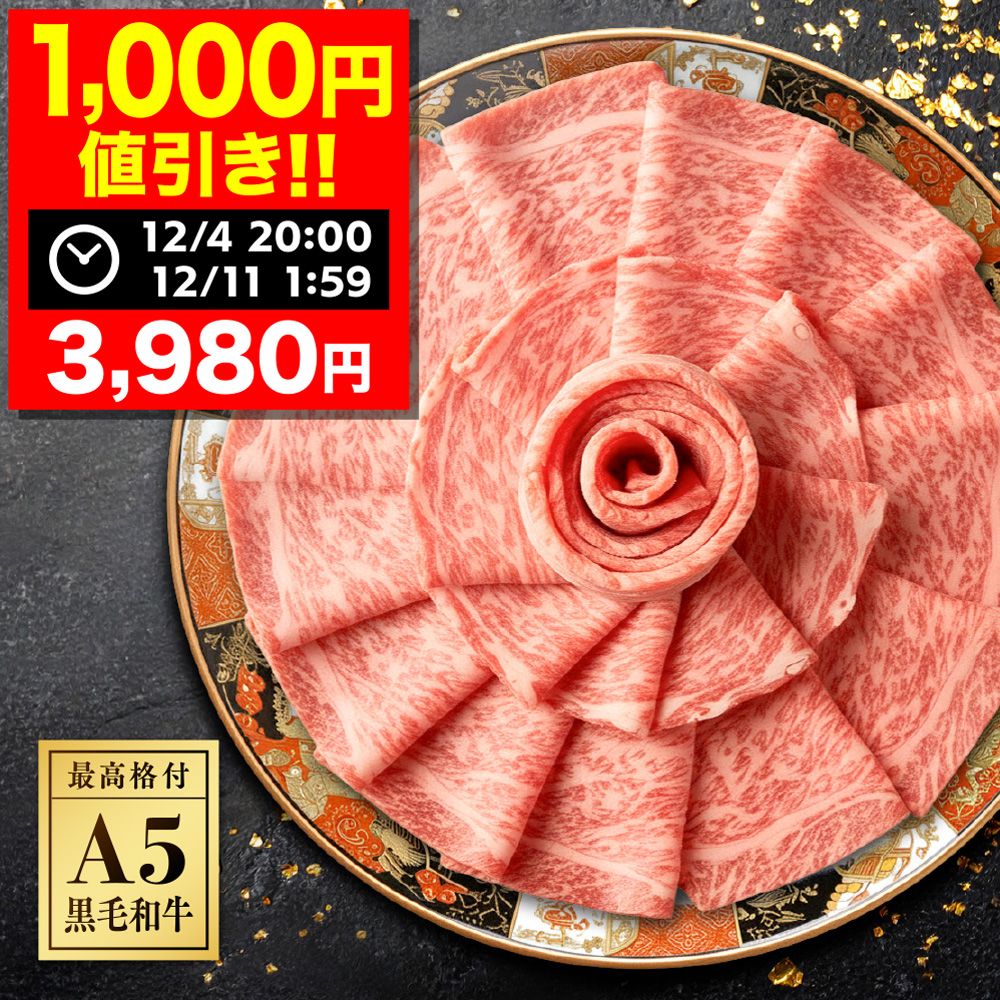 【4日 20:00-11日 1:59限定1,000円OFFクーポン！さらにP10