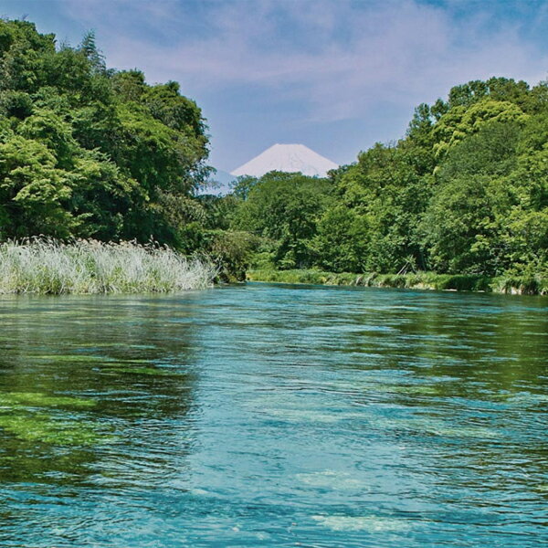 【大量入荷！】【メーカー終売の為、品薄！】　キリンウイスキー　富士山麓　樽熟原酒　富士御殿場蒸留所　50度　700ml