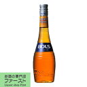 ボルス　アプリコットブランデー　24度　700ml(正規輸入品)