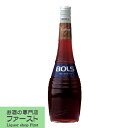 ボルス コーヒー 24度 700ml(正規輸入品)