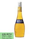 ボルス　クレーム・ド・バナナ　17度　700ml(正規輸入品)