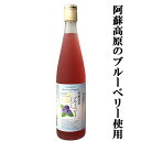 【阿蘇高原のブルーベリーリキュールを使用！】　常楽　阿蘇高原　ブルーベリー酒　14度　500ml(5)