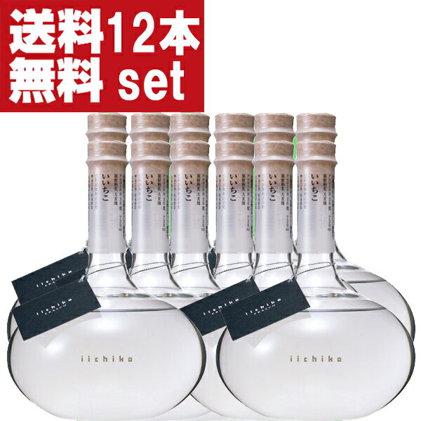 【送料無料！】　いいちこ　フラスコボトル　麦焼酎　30度　720ml(2ケース/12本入り)(北海道・沖縄は送料+990円)