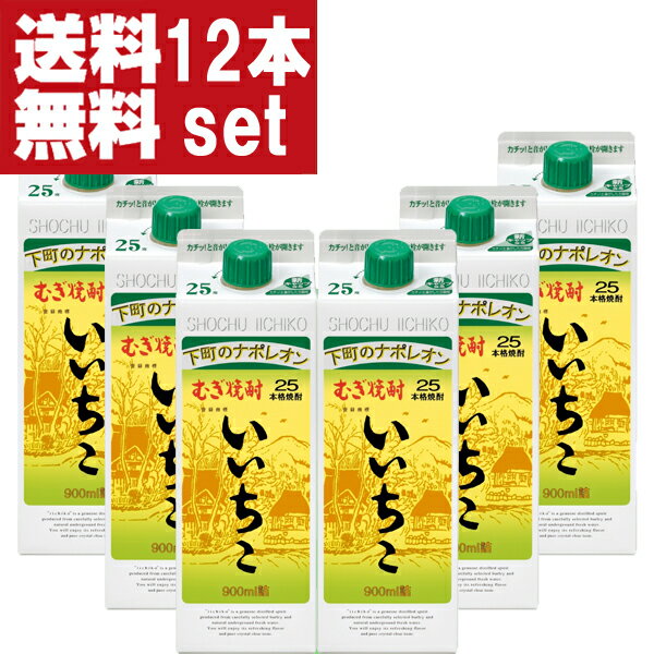 【送料無料！】　いいちこ　麦焼酎　25度　900mlパック(2ケース/12本入り)(北海道・沖縄は送料+990円)