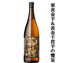【限定入荷しました!】【2年以上ワインのように瓶内で熟成!】【栗のような濃厚な味わい!】 伊佐大泉 手造り 甘藷の奴隷 芋焼酎 25度 1800ml