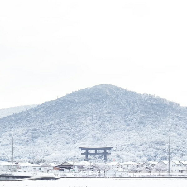 【激うま！みむろ杉の中で特に生産量の少ない逸品！】　みむろ杉　純米大吟醸　山田錦　精米歩合50％　720ml(クール便推奨)(純大)