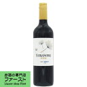 【華やかな味わいのチリワイン!】 テラノブレ メルロー 赤 750ml(1-V227)(スクリューキャップ)