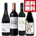 【送料無料・ワイン 飲み比べセット】 心地よいチョコレートのような重厚な香り・味わいが楽しめる赤ワイン 750ml×4本セット(北海道・沖縄は送料+990円)