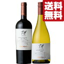【送料無料・ワイン 飲み比べセット】 チリ最古のワイナリーが造った!凝縮された果実味がたっぷり! 赤&白 750ml×2本セット(北海道・沖縄は送料+990円)